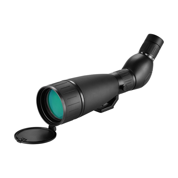 product-750-750 product-750-750